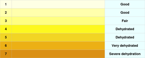what your urine says about your health | DrugsBank