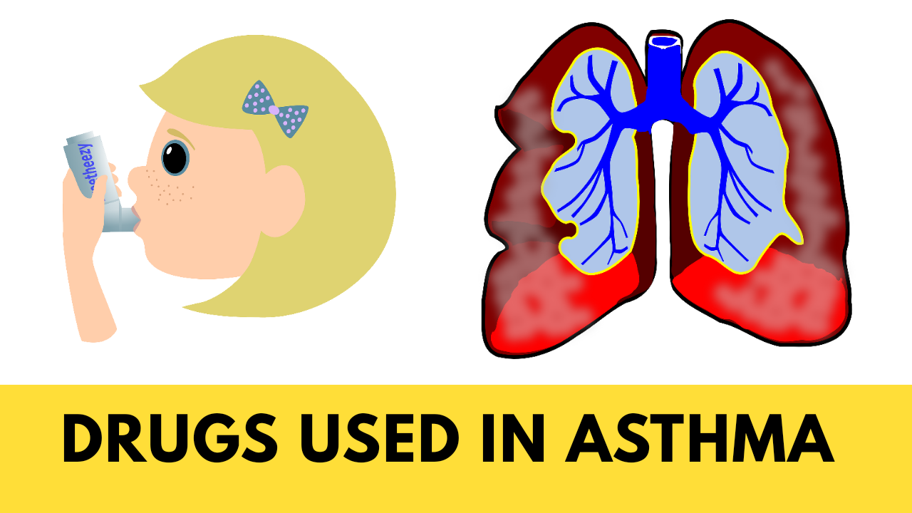 Drugs Used in Asthma DrugsBank