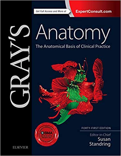 best anatomy book