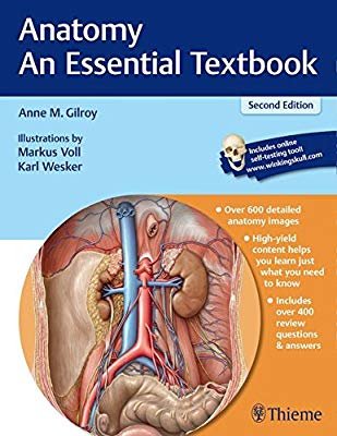Anatomy: An essential textbook