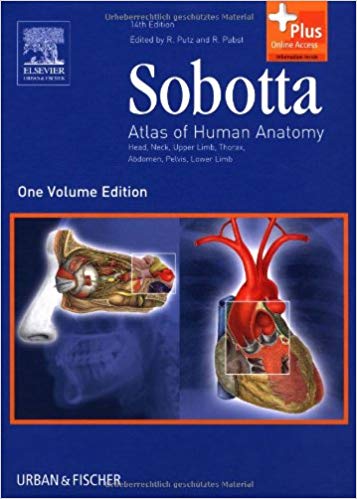 Best anatomy book