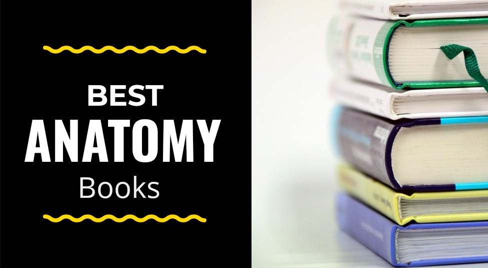 10 Best Anatomy Books (Buyers Helpful Guide) DrugsBank