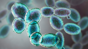 Bio Complete 3 Review
