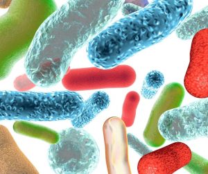 Bifidobacterium Nucific Bio X4 reviews