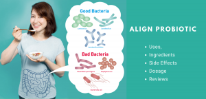 Align Probiotic Review