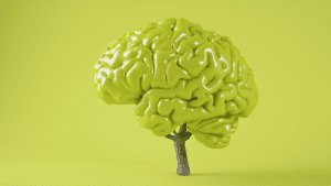 Alpha Brain Scandal