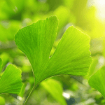 Ảnh từ Bing