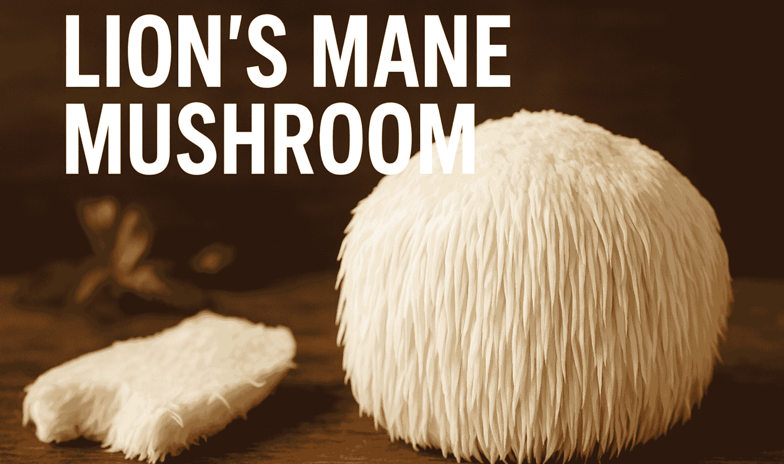 Lion's Mane Mushroom: Research Based Benefits, Side Effects | DrugsBank